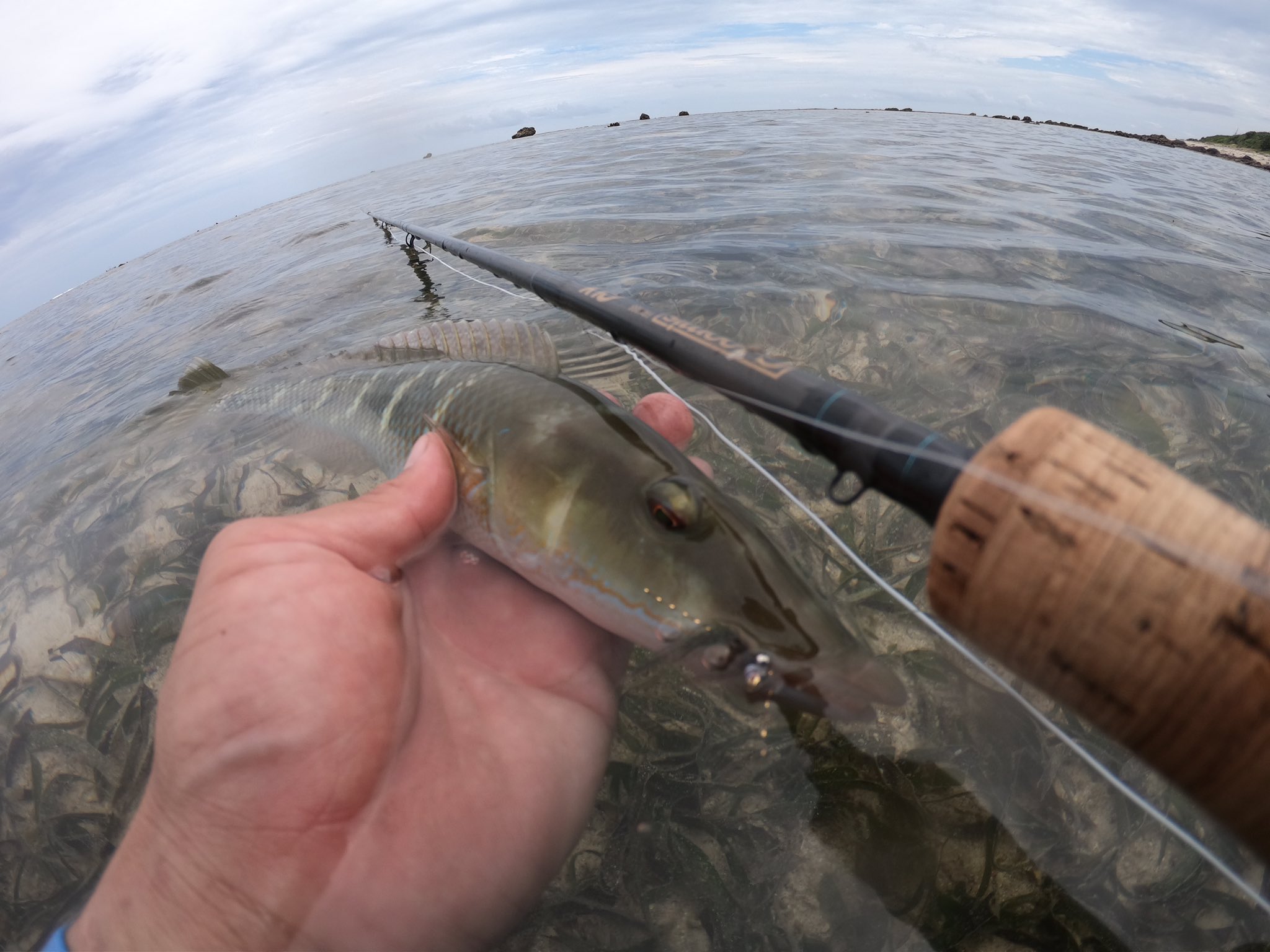 See Hiro S Tweet On May 11 19 Twitter