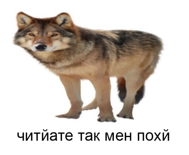 Pontyk_blya's tweet photo. до тви: о боже Я ДОПУСТИЛА 5 ОШИБОК В 1 СЛОВЕ СКОРЕЕ СКОРЕЕ Р Е Д А К Т И Р О В А Т Ь 
после тви: https://t.co/8UhpSjEY8r