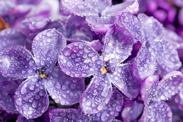 aurora_estelar's tweet photo. Belleza... https://t.co/BQHcsLuGzR