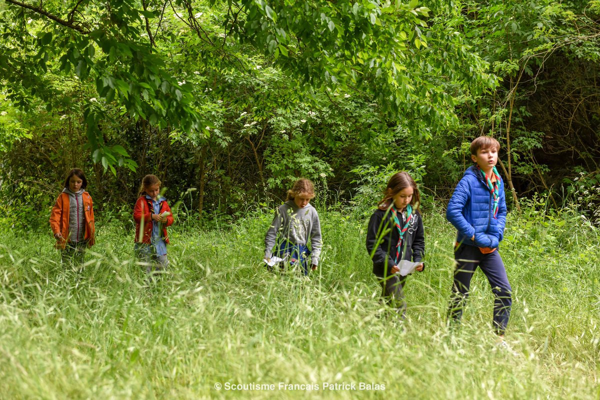 Pbalas17's tweet photo. @ScoutismeFR @sgdf @EEUdF @EedF @EEDFAquitaine #VisMonCamp au bout d’une heure de jeu les #louvettes #louveteaux @ScoutismeFR @sgdf @EEUdF @EEDFAquitaine partagent et rigolent ensemble ! https://t.co/jjNbRzcaXd