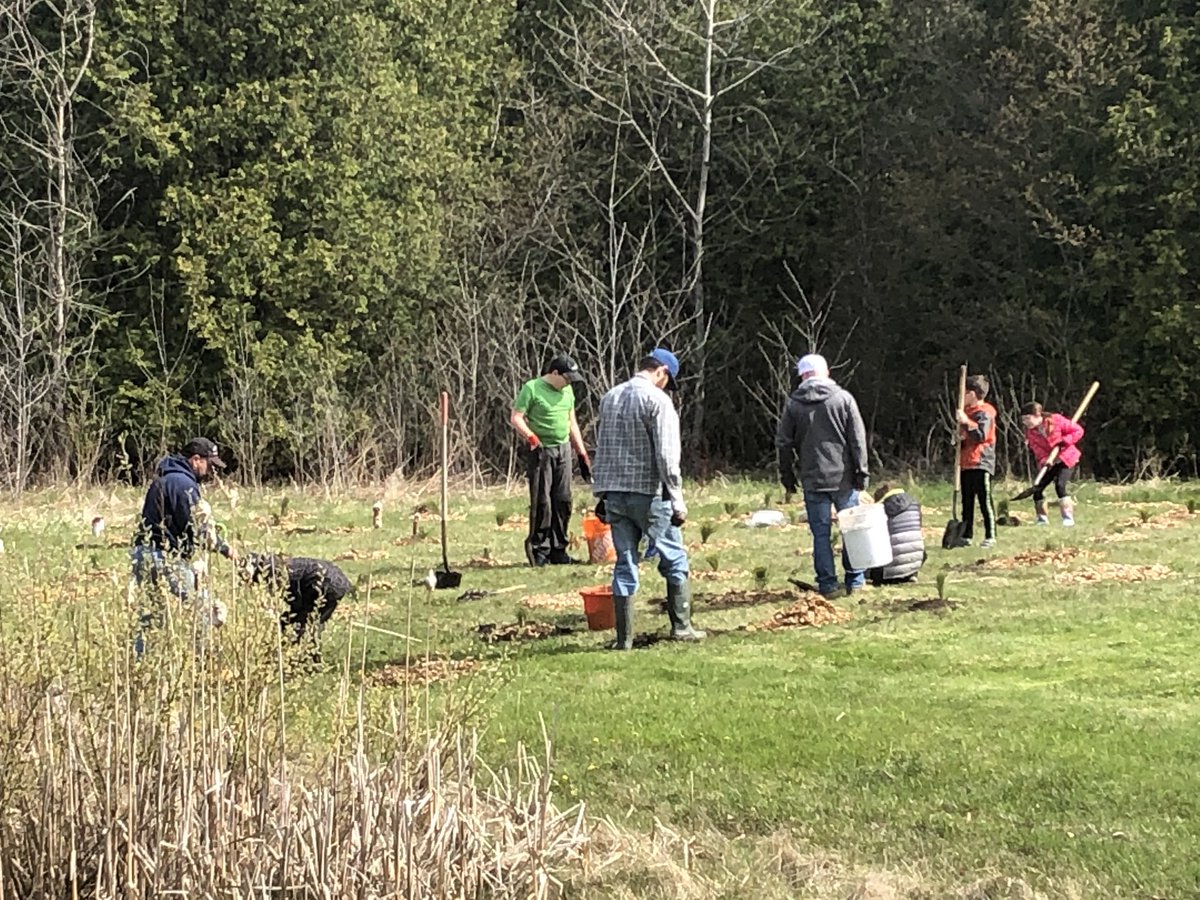 MtAlbertScouts's tweet photo. We had a great turnout at Scoutrees today. Thank you to the over 50 people that helped plant 250 trees. #MountAlbert check out the hard work beside the Tennis Court trails in town. @scoutscanada #ScoutsDoStuff #beaverscout #CubScouts #VenturerScouts https://t.co/5RYxKtTHcc