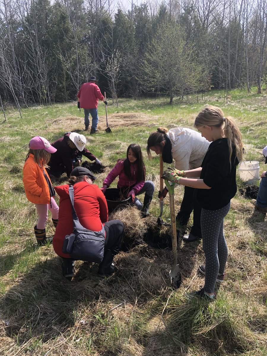 MtAlbertScouts's tweet photo. We had a great turnout at Scoutrees today. Thank you to the over 50 people that helped plant 250 trees. #MountAlbert check out the hard work beside the Tennis Court trails in town. @scoutscanada #ScoutsDoStuff #beaverscout #CubScouts #VenturerScouts https://t.co/5RYxKtTHcc