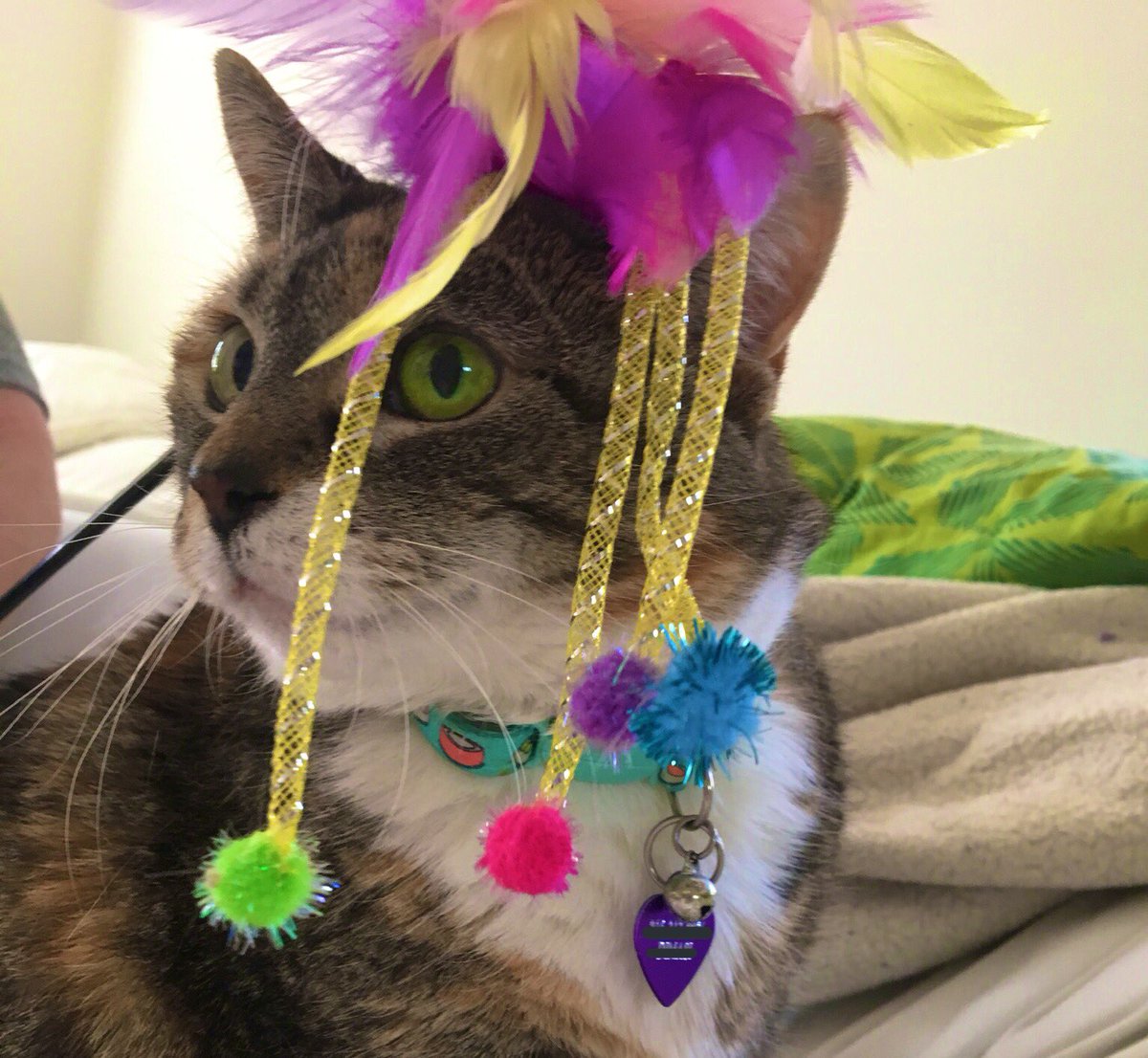 to celebrate fifte-e folowers .... i half decided. to ware a fantsy Hat
