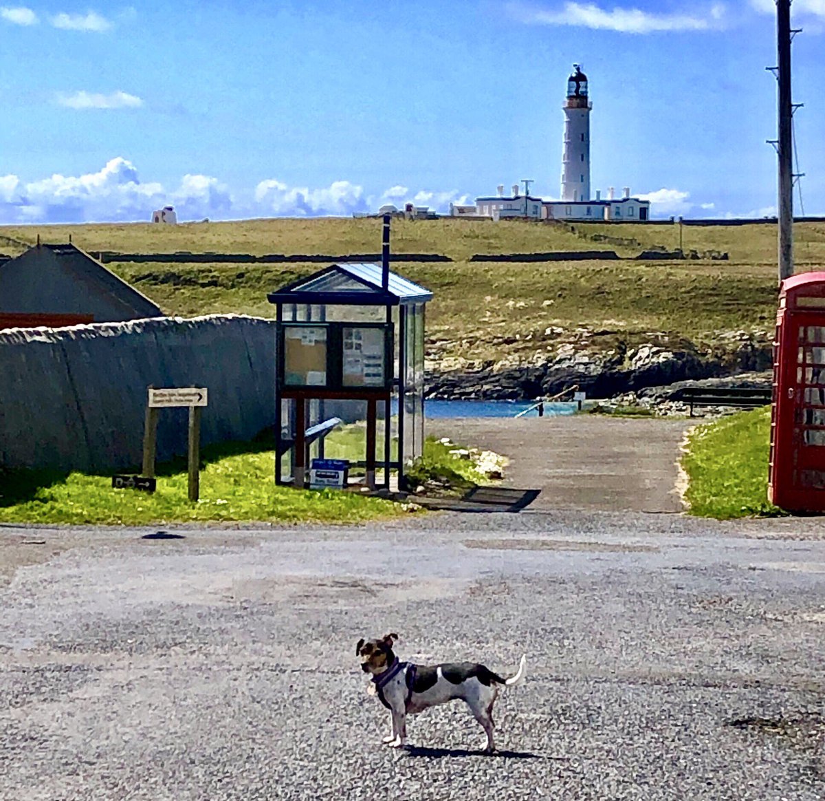 OrsayHouse's tweet photo. #postcardsfromportnahaven 
And another sunny day on #islay
 #thisisscotland #thisisislay #argyllandbute #argyllsecretcoast  #islayblog #islayjura #ScotlandIsNow https://t.co/3XUZd0sKme