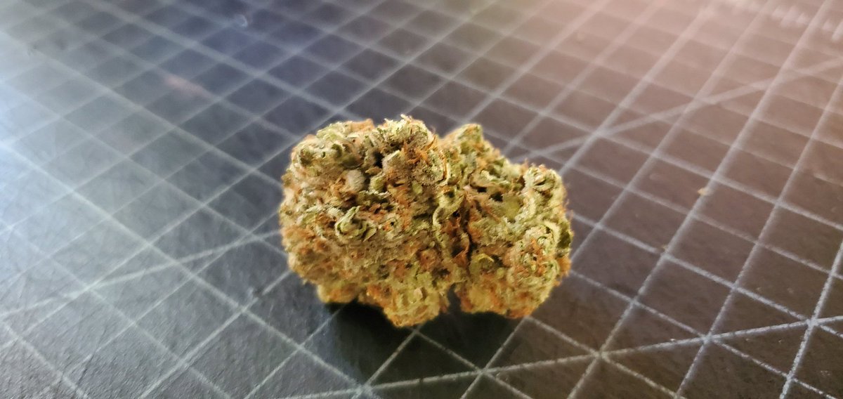 Yo! SUPPORT YOUR LOCAL GROWER! By smoking high quality small craft grown cannabis such as this tasty sativa treat! smokelocal.org #fresh #cannabis #recreationalcannabis #supportlocalgrowers #i502 #pacificnorthest