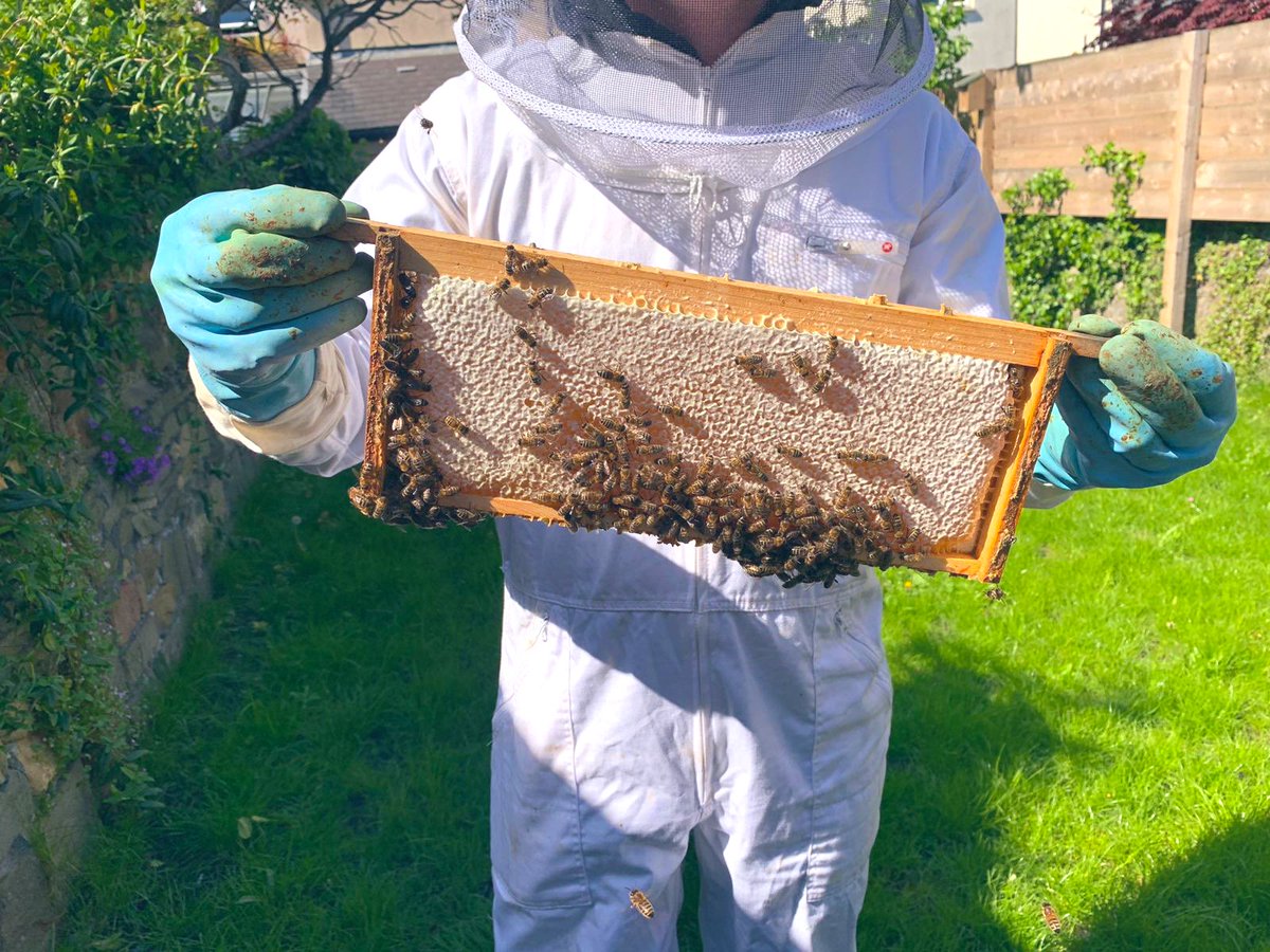 Will Webberley tweet media