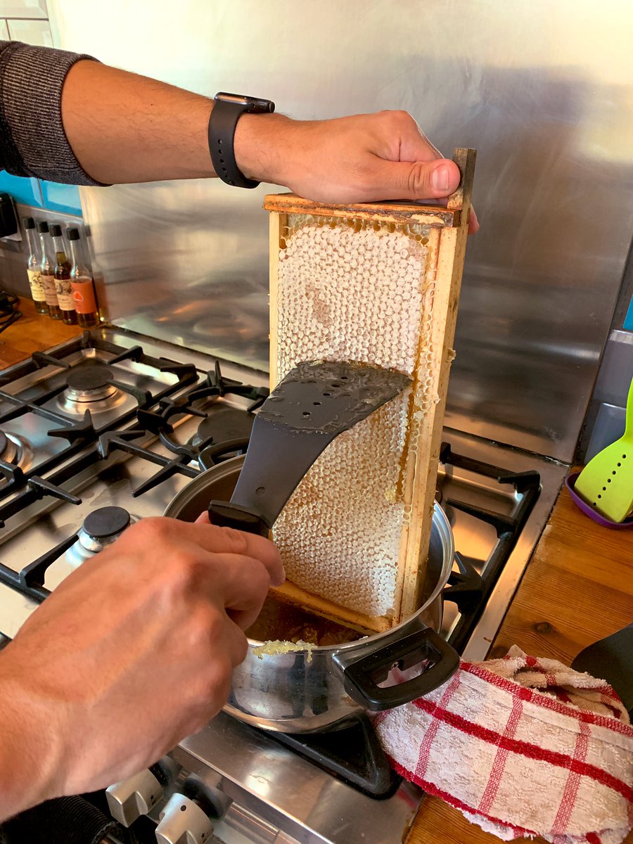 Will Webberley tweet media