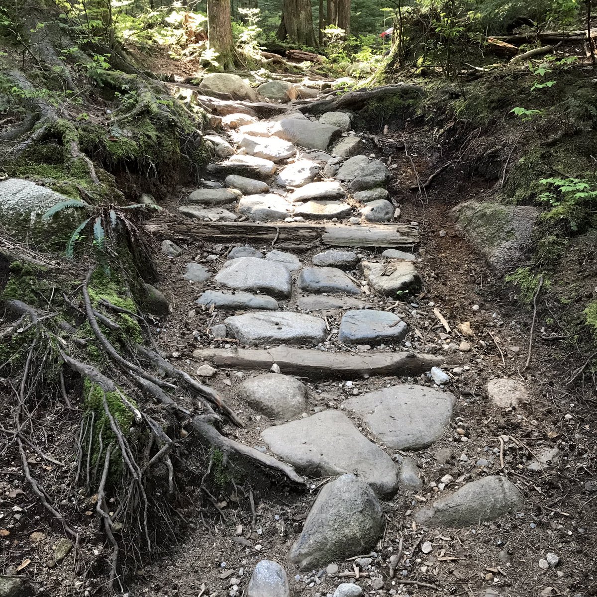 Stoked to be giving back to the trails I love. Going digging on the shore next week #trailsforall #trailsforever #mtb #mtbbc #mountainbiking #mtblife #doyouevendigbro #mtblove