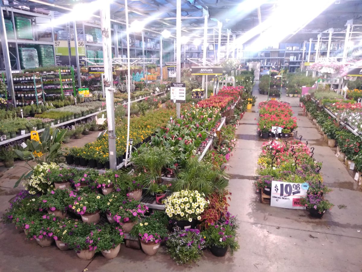 RandyBoston10's tweet photo. It's a # beautiful day to visit @HomeDepot ! Come visit #team441 in Avondale and get something for your #mother that she'll #love!
.
.
#D287BiggerStrongerFaster #tothemax #FridayMotivation #FridayFeeling #441pride #THD #HomeDepot https://t.co/0cynsTKHH6