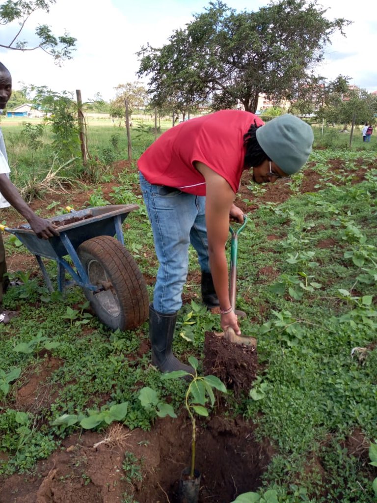 MitiAlliance's tweet photo. A successful day tree 🌳 plantings at TreeSide Special school.We have 19 schools to go join support &amp; help make a difference in Kenyan schools through setting up Orchards. #MakeitRain @UAPOldMutual  @Citibank @nicbankkenya @imbankke @citizentvkenya @MagicalKenyaUK @Turnup_Travel https://t.co/V1yH6vD0XN