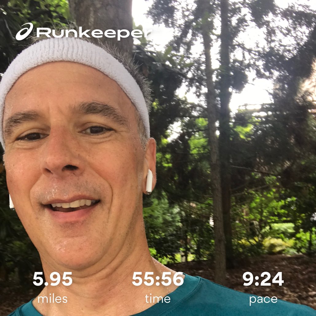 fredspring's tweet image. Run run