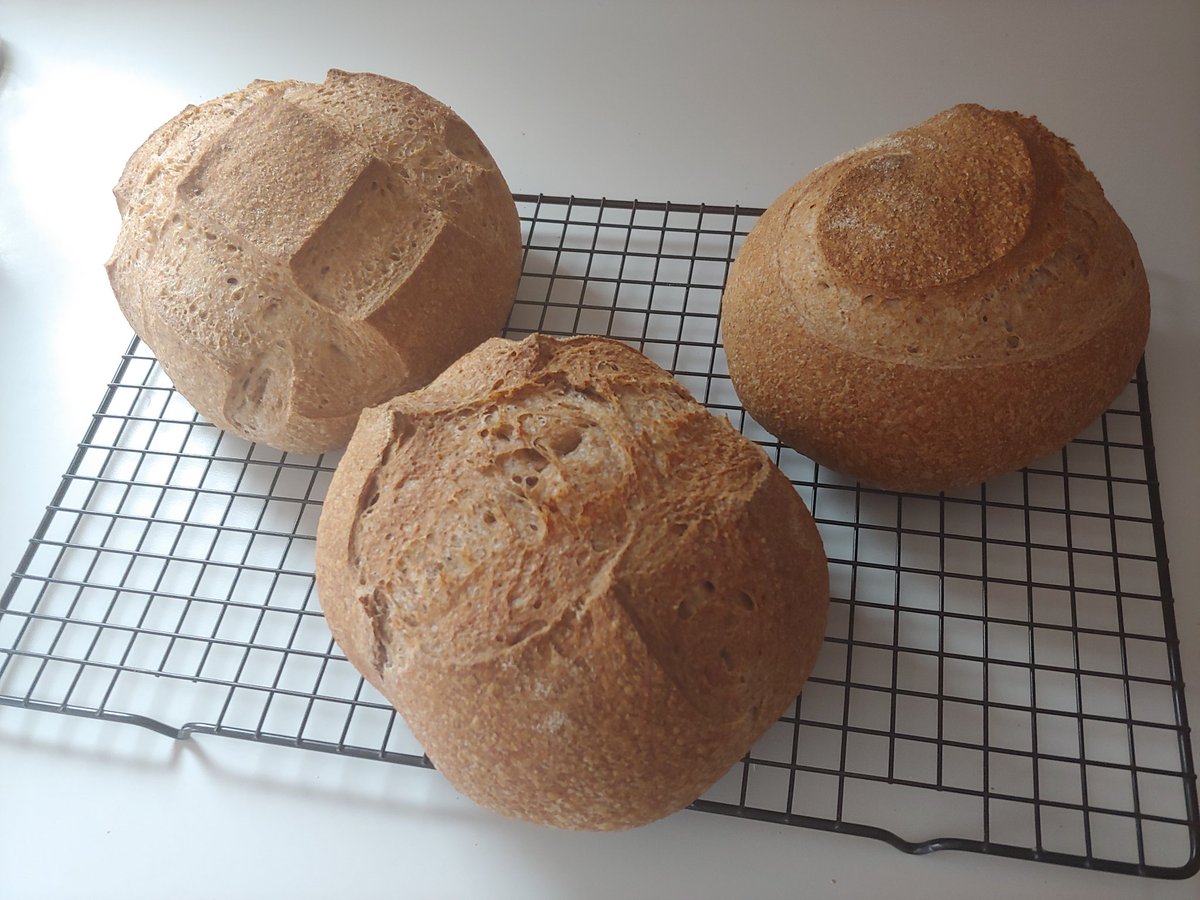 aranach's tweet photo. Mini-boules https://t.co/pitKoEJqXk
