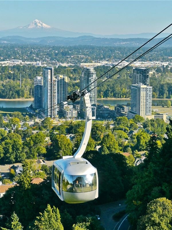 OHSU Anesthesia (@ohsuanesthesia) on Twitter photo We are pleased to announce our search for a new Chair <a href="/OHSUAnesthesia/">OHSU Anesthesia</a> We are a proud family serving the entire mission <a href="/OHSUSOM/">OHSU School of Medicine</a> Interested #anesthesiology leaders should contact the search committee chair @nateselden We are pleased to announce our search for a new Chair <a href="/OHSUAnesthesia/">OHSU Anesthesia</a> We are a proud family serving the entire mission <a href="/OHSUSOM/">OHSU School of Medicine</a> Interested #anesthesiology leaders should contact the search committee chair @nateselden