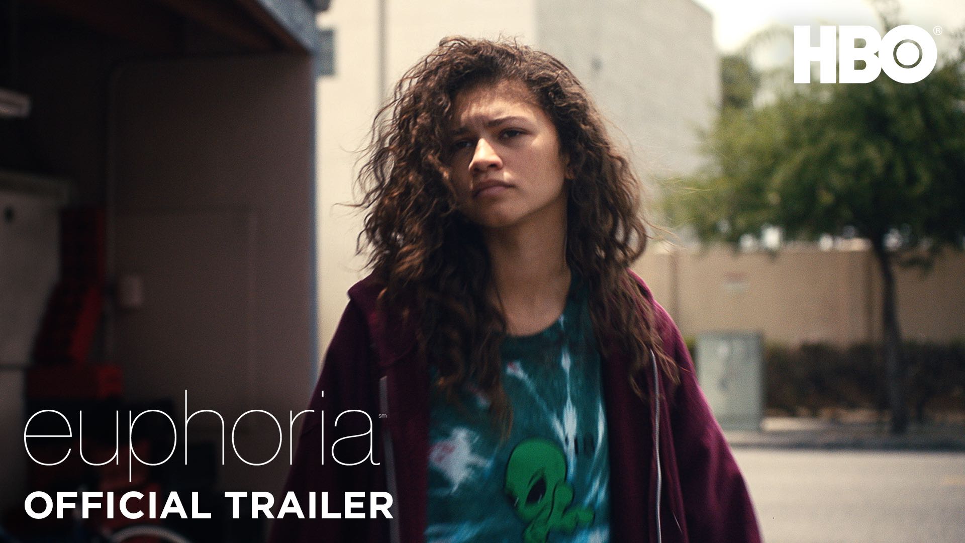 Zendaya s video Tweet