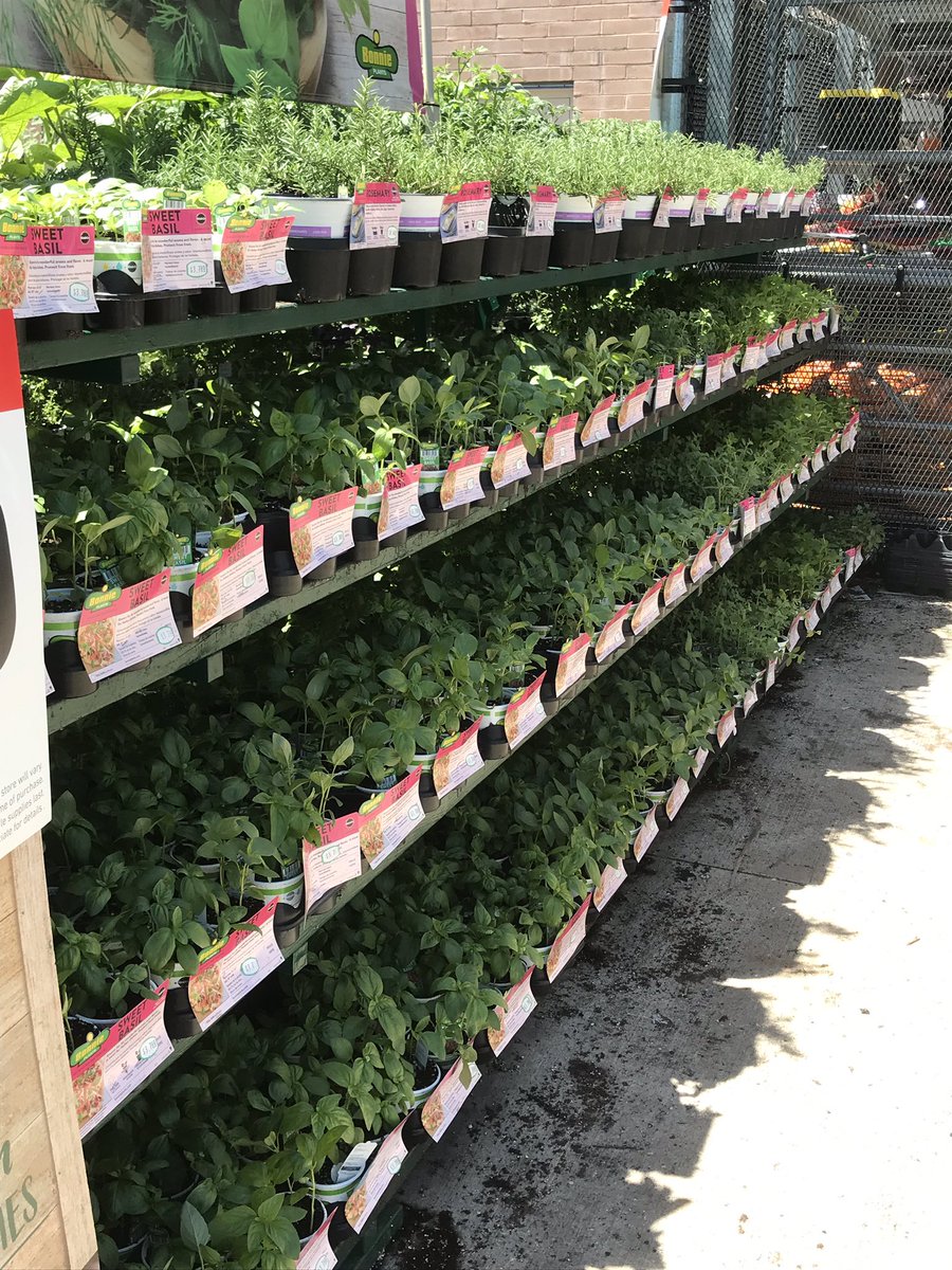 Bethlehem Lowe’s (BethlehemLowes) Twitter