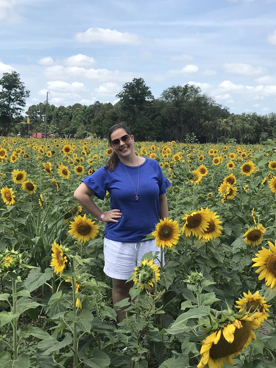 sbreenie_thomas's tweet photo. Check out the sunflowers at @AGcropmaze!!! They are so beautiful!!! We had so much fun taking photos!! 🌻❤️☀️ https://t.co/O2k0m0h4qA