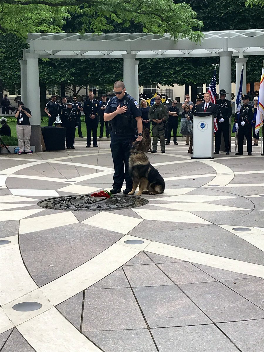 DCPoliceDept's tweet photo. Today, we remember the K9 heroes that made the ultimate sacrifice this past year at the 2nd Annual Police K9 Memorial Service. They will be #NeverForgotten 🐶💙

@NPK9Foundation #DCPolice #HereToHelp #NationalPoliceWeek #K9 https://t.co/0iKiO4J7YU