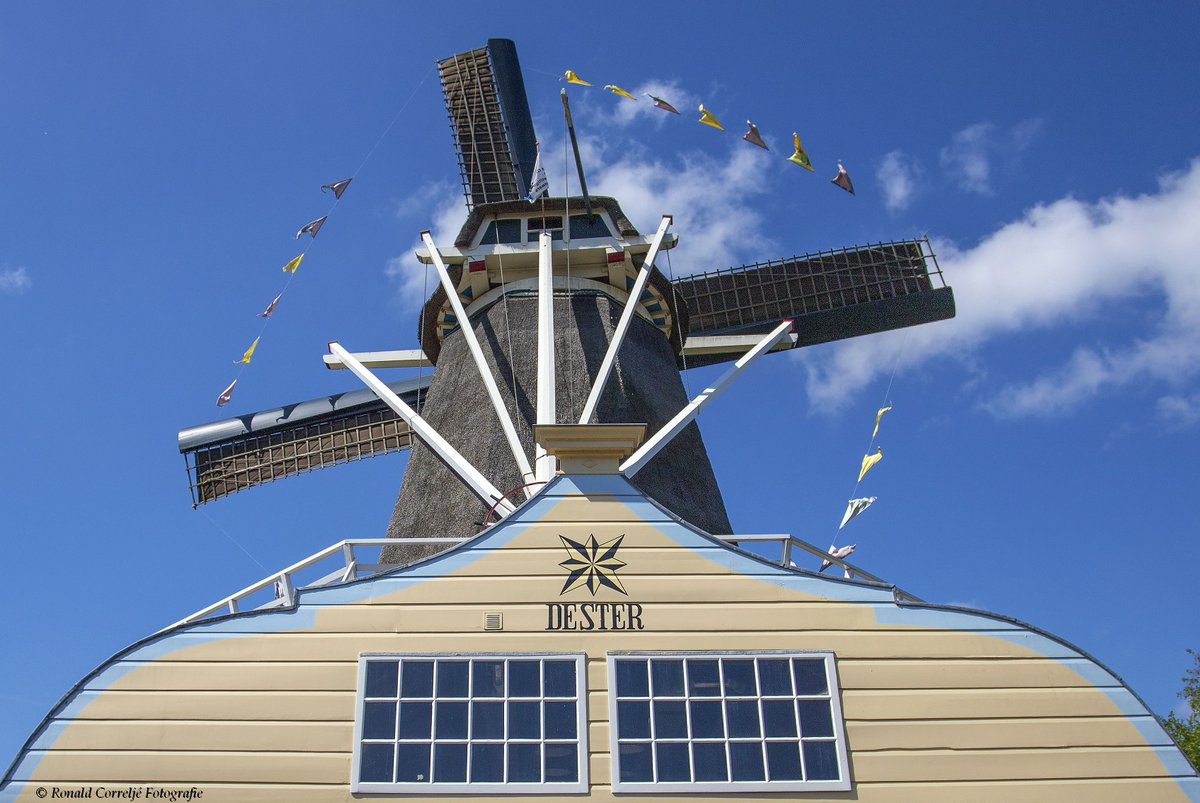 BlikOpUtrecht's tweet photo. Een van de deelnemers vandaag aan de Nationale Molendag is de Utrechtse houtzaagmolen De Ster, gelegen in de wijk Lombok. @MolenDeSter #molendag #Utrecht https://t.co/E91AxqEGUe