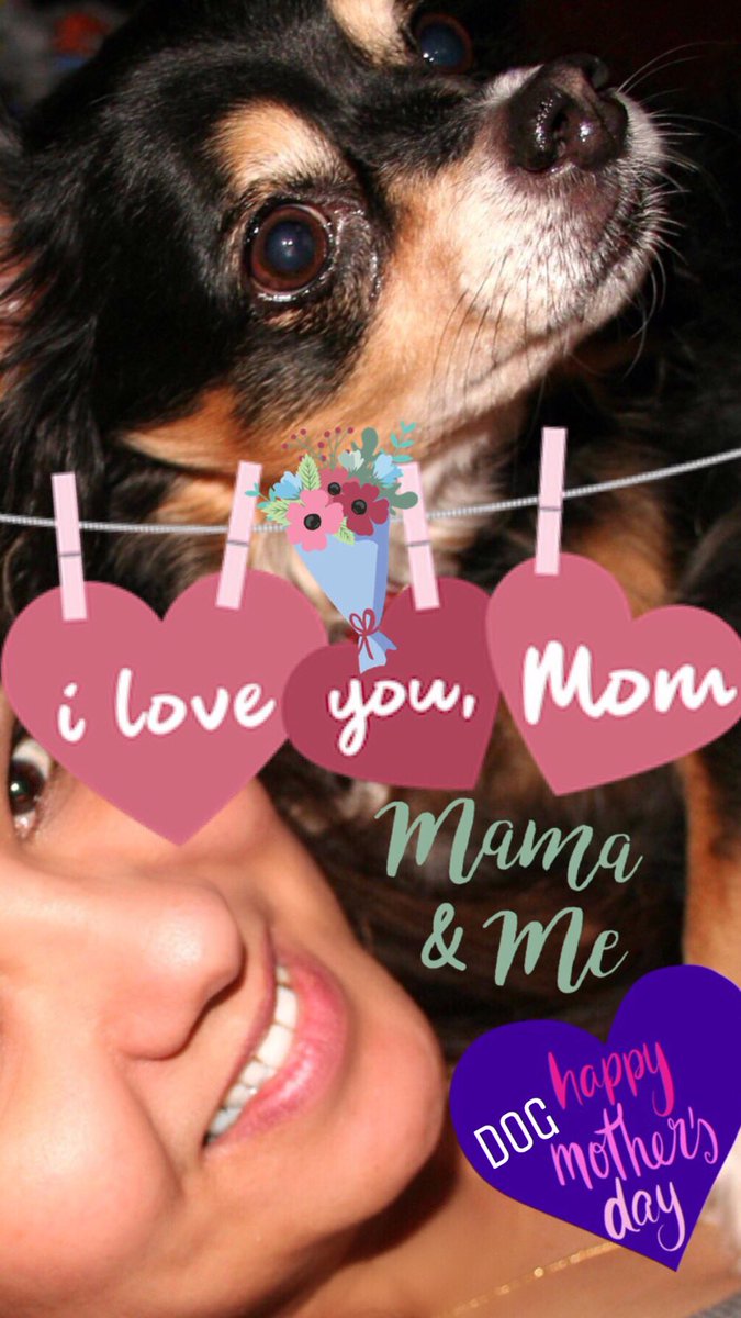 ILove4Dogs's tweet image. #HappyDogMomsDay ♥️🐕🐾🌷🐶🌺🌹💐🐾🐾🐾