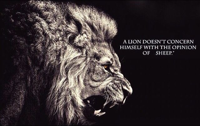 Cbps? Da best? #littlebrotherclans #MightyPolishPickles #alpha #builtfromtheground