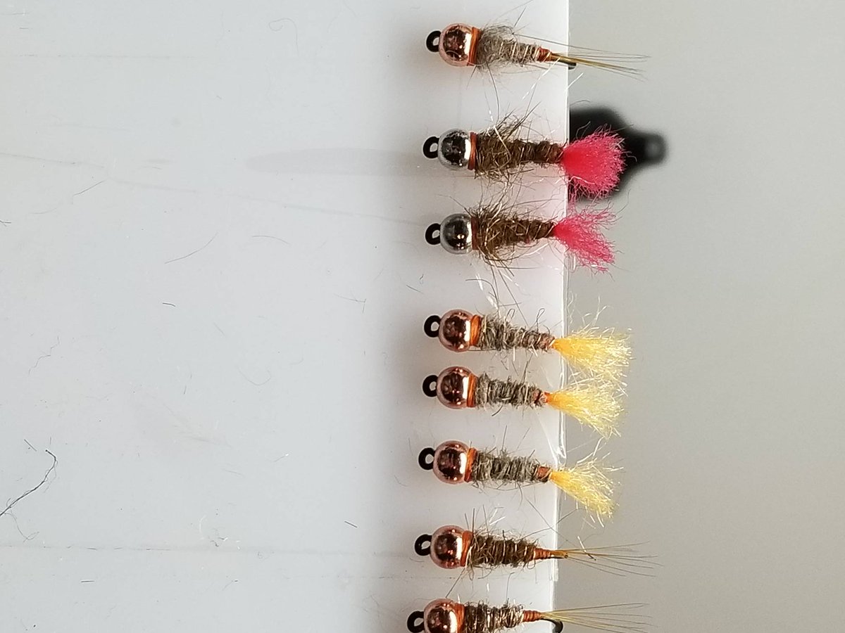 Graham Bristow tweet media