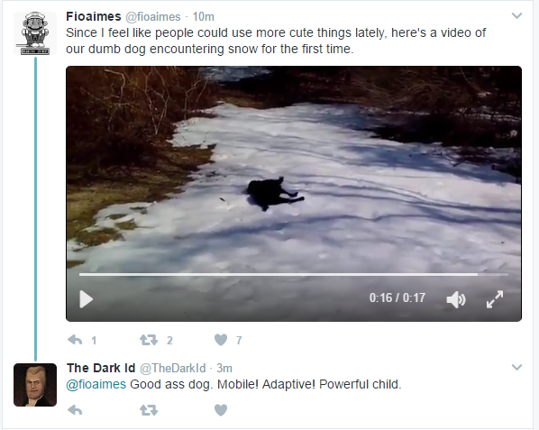 HmImThinking's tweet photo. This isn't his dog https://t.co/gYW04Ufttv