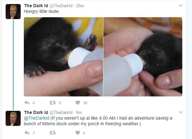 HmImThinking's tweet photo. He didn't punch through a deck to save starving kittens, there were no kittens https://t.co/X9tp61vZpS