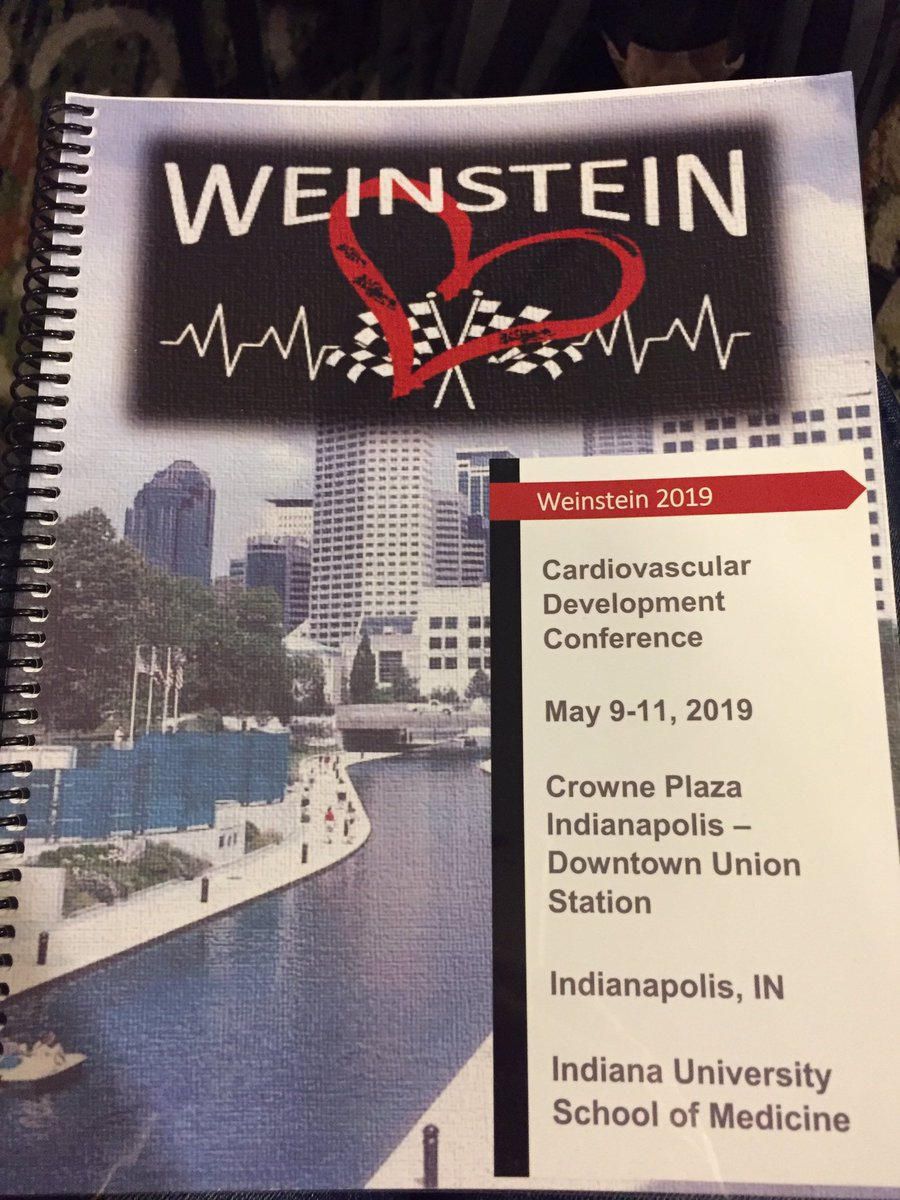 GuonHuang's tweet photo. Great talk by my postdoc Kentaro @Hkentauros in @Weinstein2019! Many thanks to the organizers to give him the opportunity. #weinstein2019 https://t.co/m4ILD53wBb