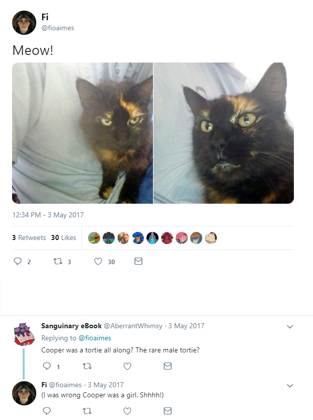 HmImThinking's tweet photo. 3 months later the kitten is now fully grown, a different breed, and female https://t.co/8c06JXk3DI