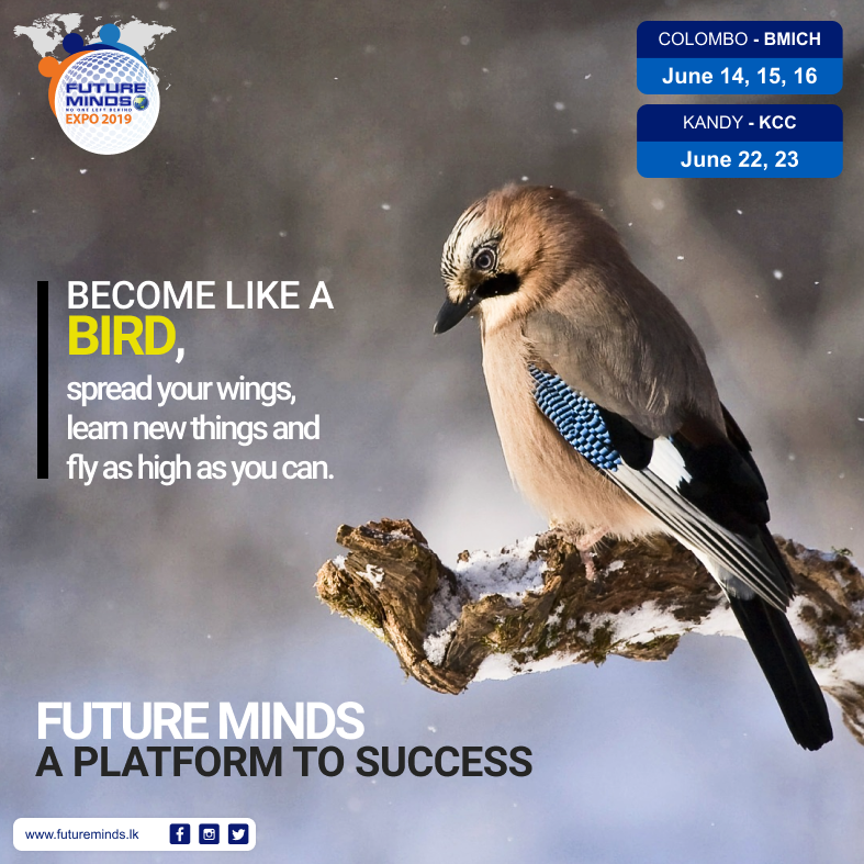 FutureMindsLK's tweet photo. International World Migratory Bird day.
Become like a bird, spread your wings, learn new things and fly as high as you can.
 
 @FutureMindsLK - A platform to success.

#FutureMinds2019 #FutureMinds #Colombo #Kandy #Galle #SinhalaHinduAwurudu #HappyNewYear #lka https://t.co/v3Zl0wEtzW