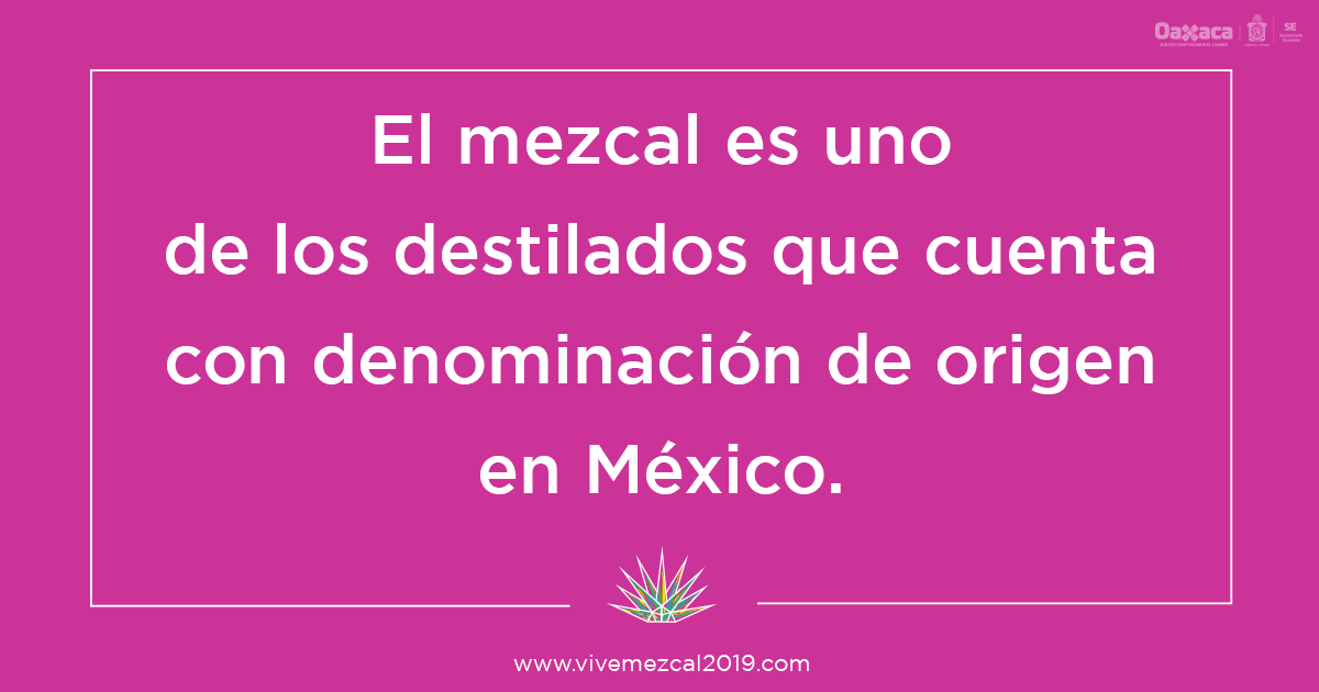 _MundoMezcal's tweet photo. Existen 9 estados dentro de la Denominación de Origen del Mezcal (DOM) sin embargo, Oaxaca es el estado mejor posicionado respecto a la producción de esta extraodinaria bebida.
#ViveMezcal #MezcalEsOaxaca #ViveNegocios #ViveTradicion https://t.co/vriLKt4J4W