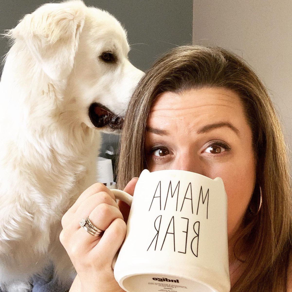 CourtneySnow222's tweet photo. Since it seems Baby S is more then comfortable in there; even when practically falling out lol I’m starting the Mother’s Day celebrations early with my new mug, decaf, and my first two loves! ☕️🐾💕💫

#pregnant #greatpyrenees #dogslife #MothersDayWeekend #whereyouatbaby https://t.co/2XgZxxcMfi