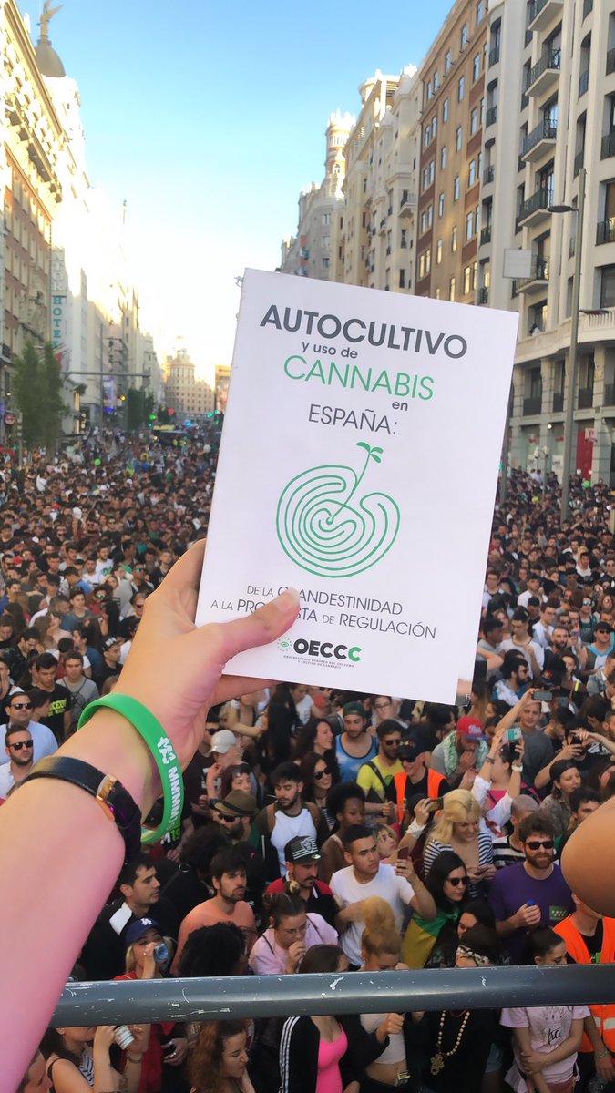 SoftSecrets_ES's tweet photo. #MMMM2019 🔥🔥🔥 https://t.co/4Jfa4bFrZH