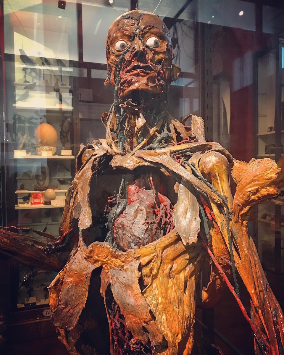 How England got plastinated... D6TuAnxXsAAvpcY - How England got plastinated...