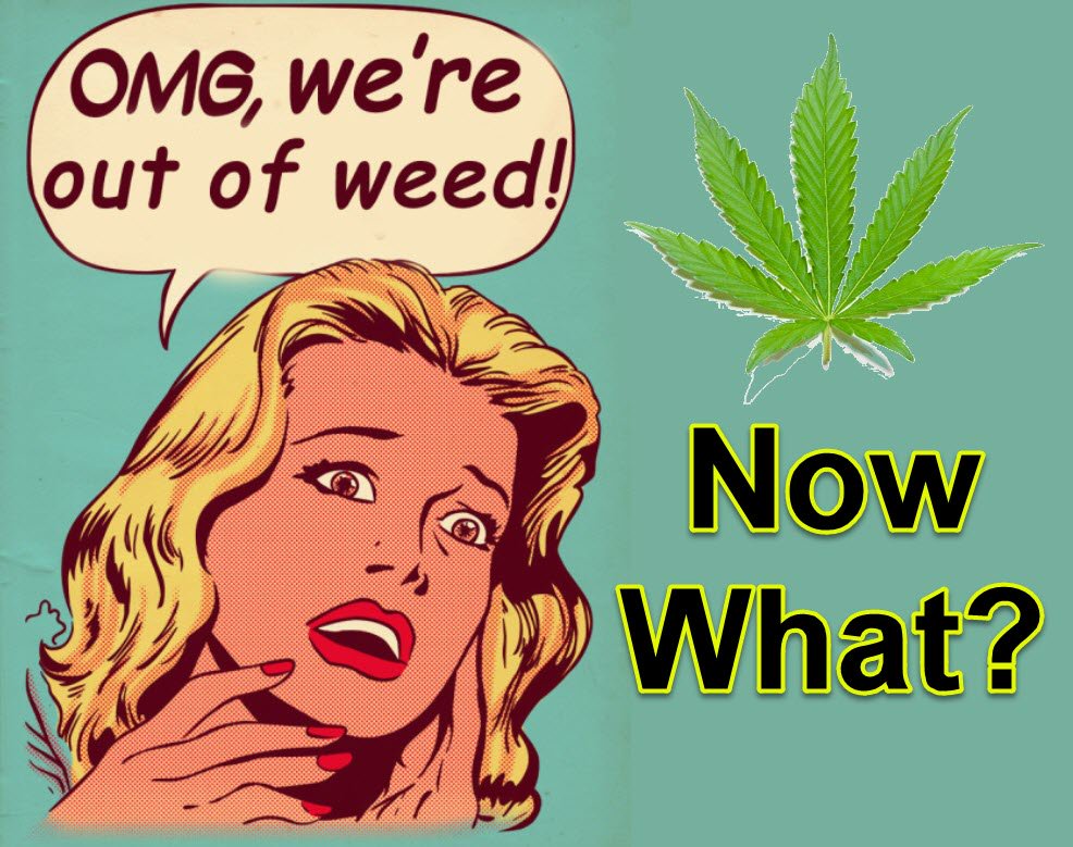 luvbrite's tweet photo. DONT PANICK! Give us a ring and we'll be at your doorsteps in no time! 🍁🚙💨 #GetItDelivered #420 #Luvbritedelivery #weeddelivery #weed https://t.co/vxv1bbCtgg
