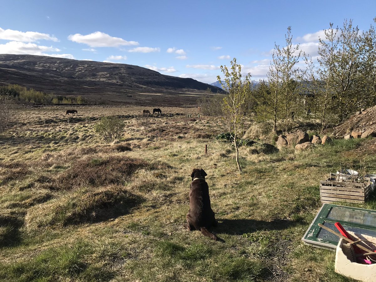 Thorathoracoach's tweet photo. “The NOW is the door out of the ego”. (Eckhart Tolle) #selflove #Mindfulness #quotes #sunnysaturdayiniceland #spring https://t.co/BkzN8JvSyi