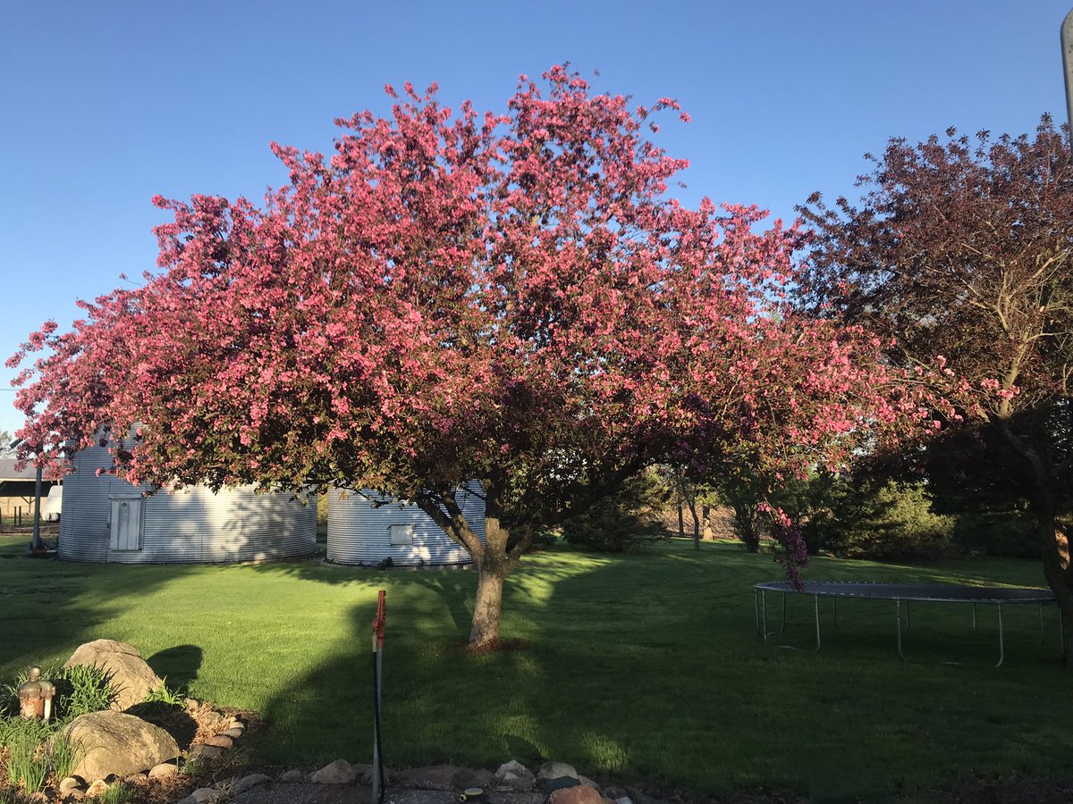 MattWikert's tweet image. Beautiful Morning❤️