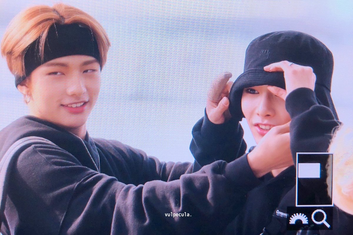 vulpecula.🦊 tweet media