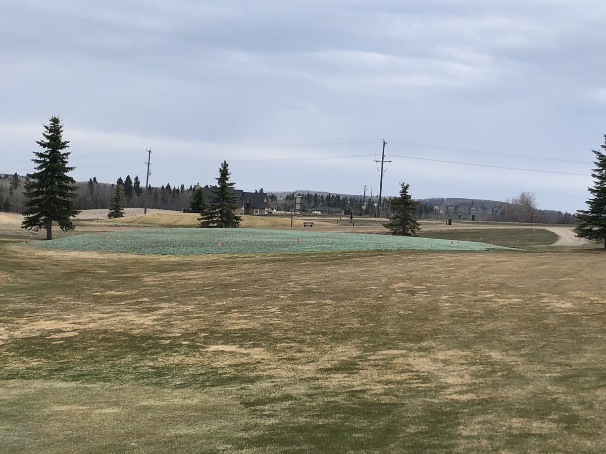 TKonsorada's tweet photo. Been a busy week. Greens all finished. 10, 15 and 5 apron and surrounds all seeded and hydro mulched today. I want to thank my staff for all the hard work and time put into these projects. Also an awesome job by Anseeuw Bros and his crew, great pleasure working with them https://t.co/ytJqcOEA6j