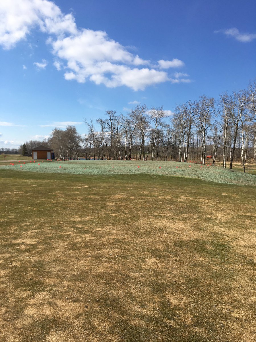 TKonsorada's tweet photo. Been a busy week. Greens all finished. 10, 15 and 5 apron and surrounds all seeded and hydro mulched today. I want to thank my staff for all the hard work and time put into these projects. Also an awesome job by Anseeuw Bros and his crew, great pleasure working with them https://t.co/ytJqcOEA6j
