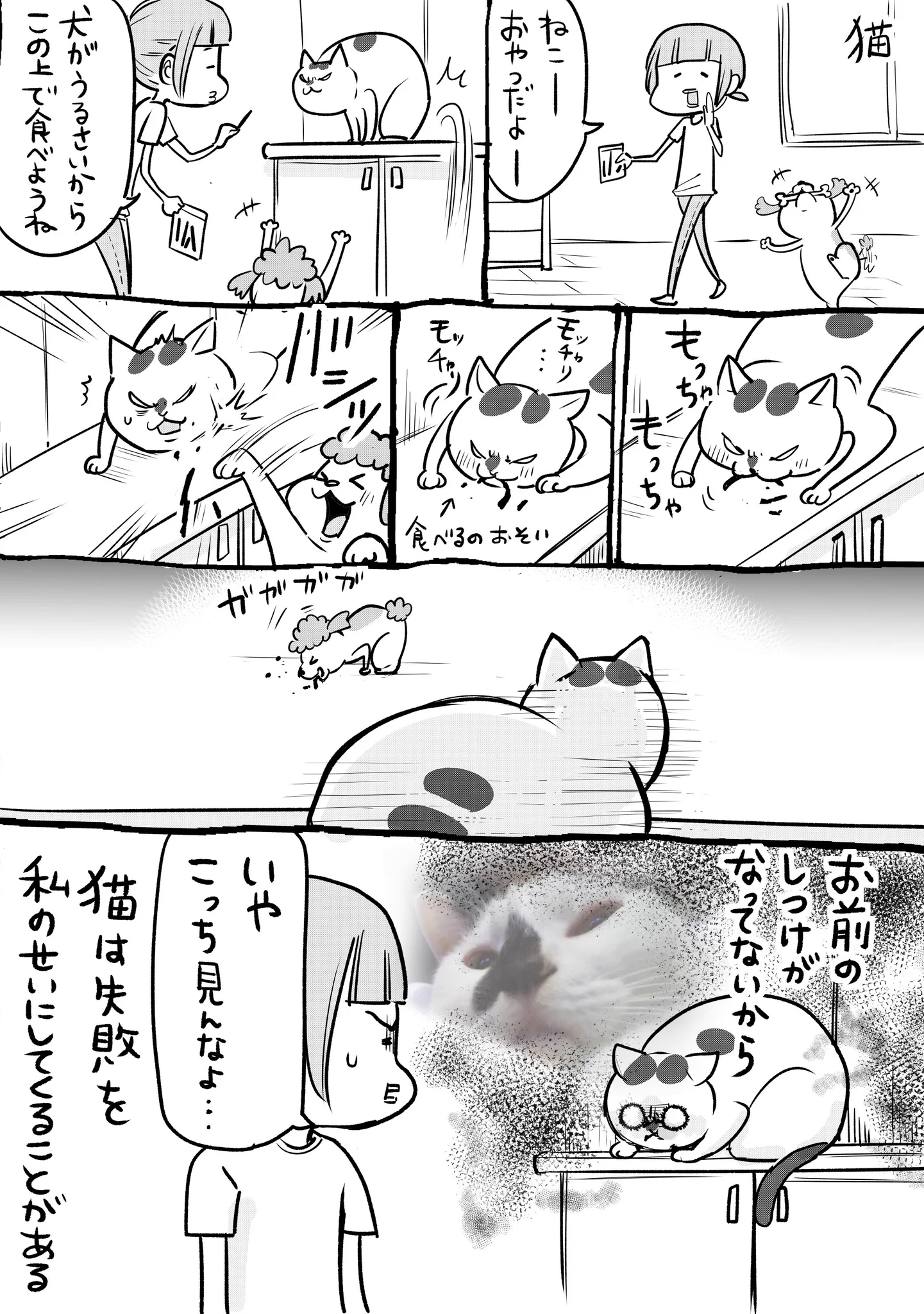 犬と猫どっちも飼っていると失敗した時の反応が違いすぎて面白いww