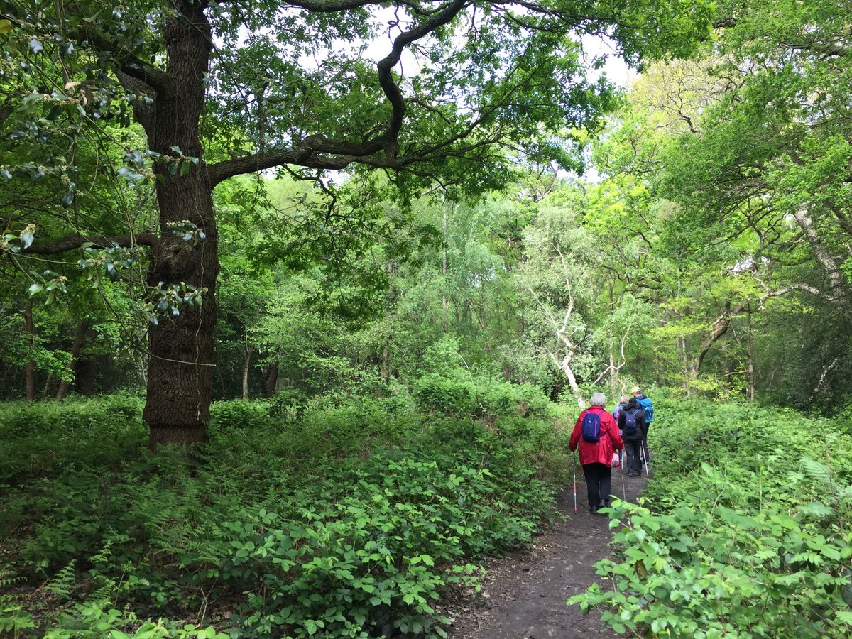 Blak_Outside's tweet photo. 38 years after #BobMarley โFly away home to Zionโ #skanked thru #WimbledonCommon saw #Selassie signs #NordicWalking not #Wombling to #flow past #BeverlyBrook #streaming into #RichmondPark ... #WalkThisMay #LondonNPC #BigLunch #Blak_Outside โค๏ธ๐๐๐ถ๐พโโ๏ธ๐ฆ๐ณ https://t.co/GLdJXwkqSQ