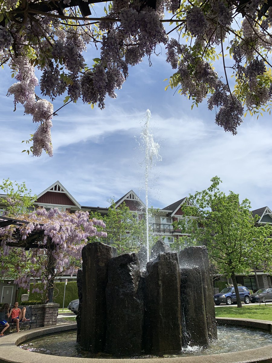 The best place to sit on a hot day. #champlainheights