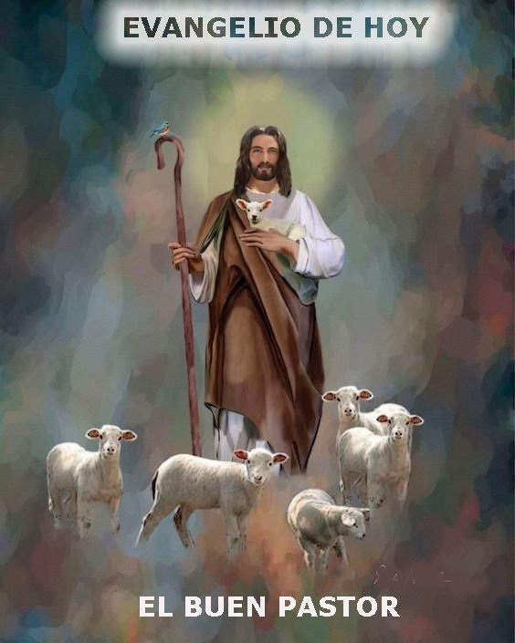 #EvangeliodelDía | La historia del Pastor y las ovejas