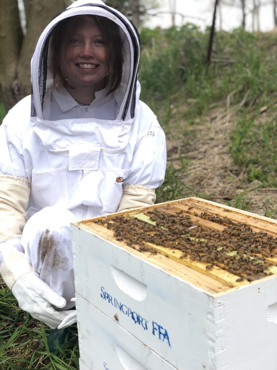 SpringportFFA's tweet image. Lots of new bee hives today