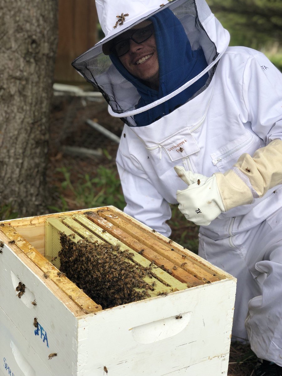 SpringportFFA's tweet image. Lots of new bee hives today