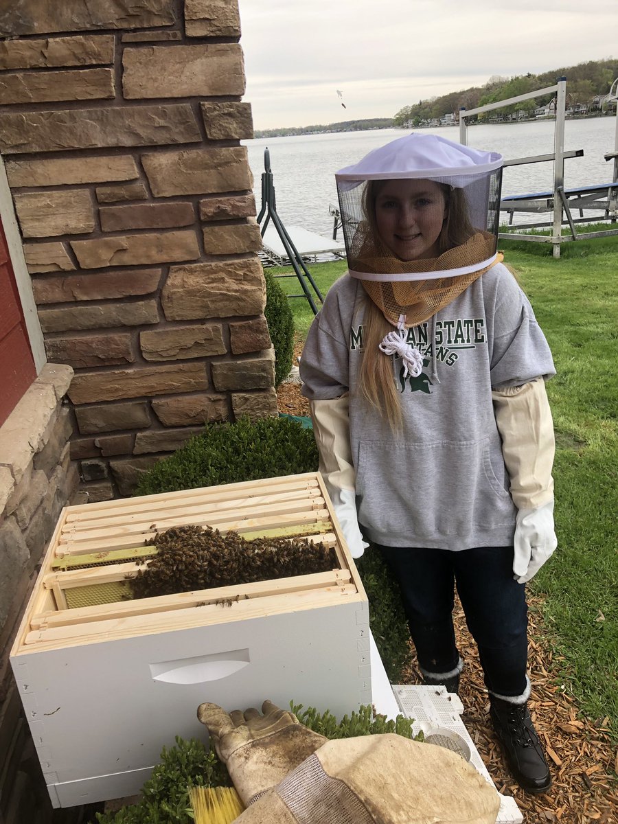 SpringportFFA's tweet image. Lots of new bee hives today