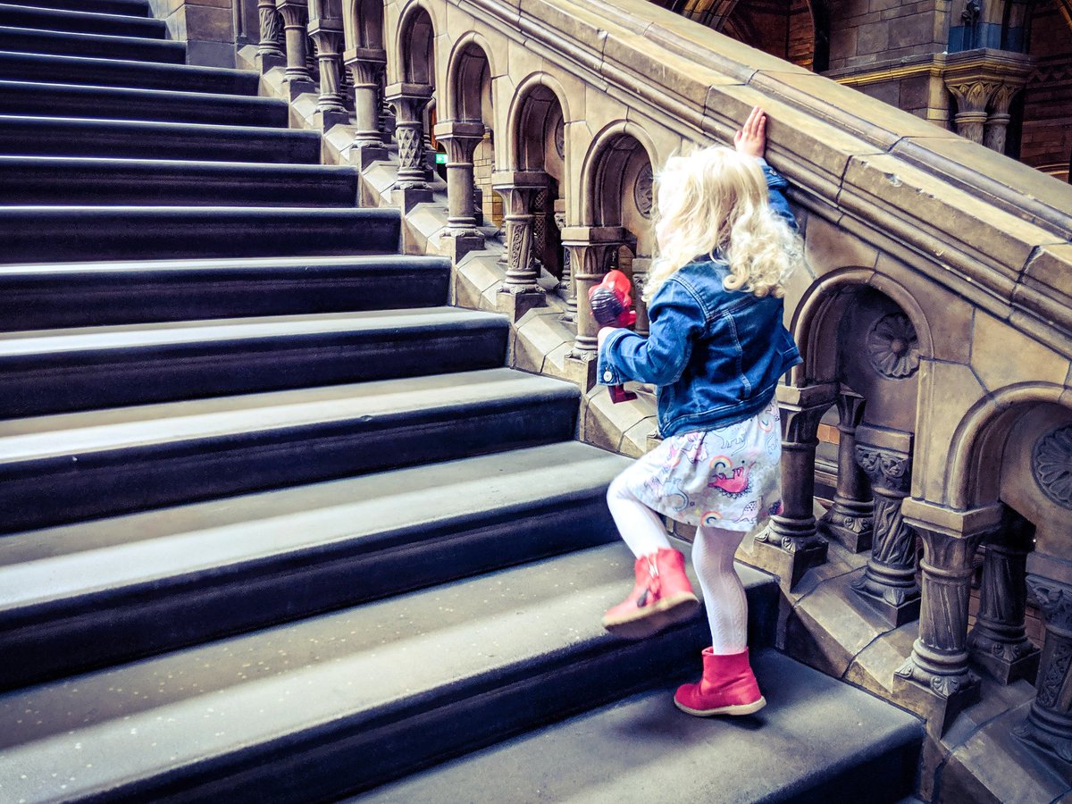martynmorrish's tweet photo. We had a lovely morning exploring @NHM_London. #DaddyWeekend #Toddler #London https://t.co/br0oLz5ctA