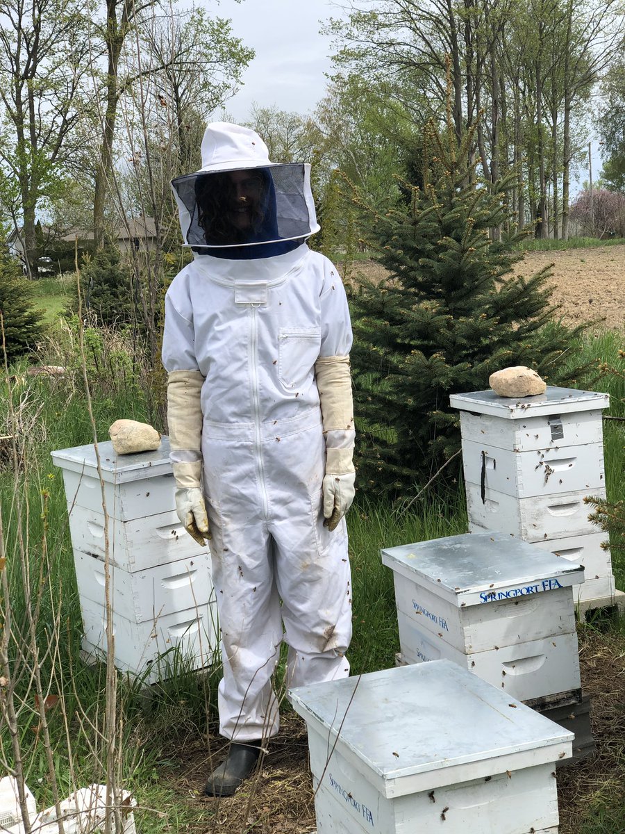 SpringportFFA's tweet image. 