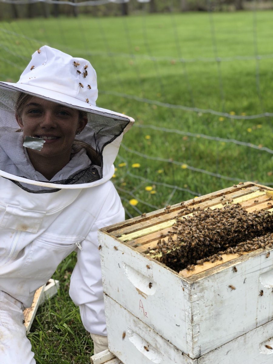 SpringportFFA's tweet image. 